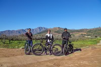 Da Città del Capo, tour e-bike di mezza giornata Winelands - Housity