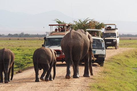 Amboseli nationalpark: Guidad heldagsturSafari i Amboselis nationalpark med avgifter, lunch och besök hos masajerna