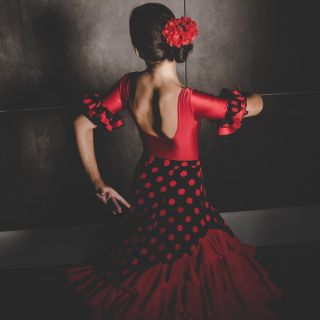 Barcelona: 1-times Flamenco-show i VIP-zonen