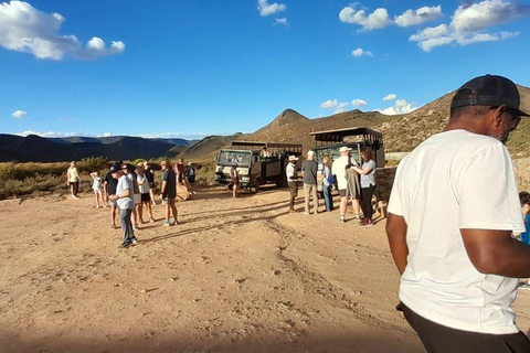 Cape Town Aquilla big sunset safari With transport & food aquila sunset bestseller