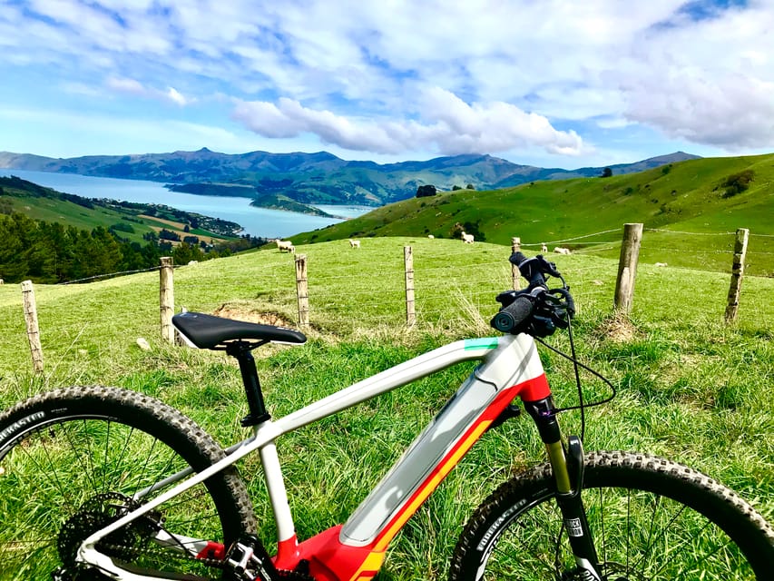 Explorador de Akaroa Excursión guiada en bicicleta eléctrica de