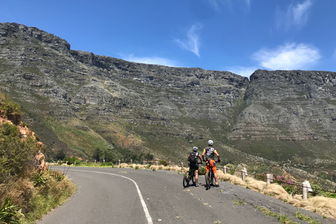 Kaapstad: mountainbiken op de Tafelberg