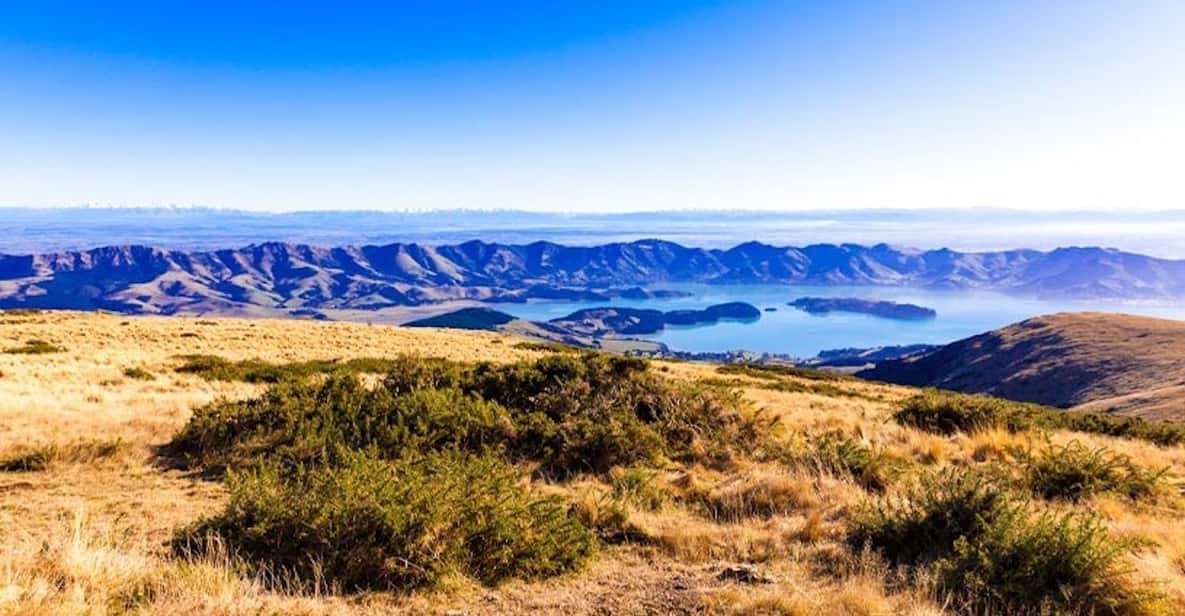 Christchurch: 20-Minutes City Helicopter Flight