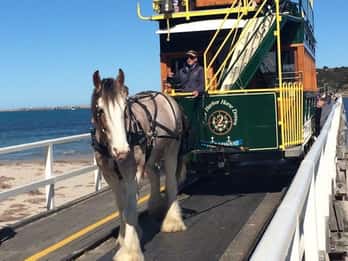 Adelaide: South Australia Guided Full-Day Highlights Tour