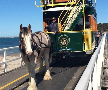Adelaide: South Australia Guided Full-Day Highlights Tour