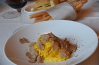 De Turín, caza de trufas de medio día y almuerzo en Piamonte - Housity