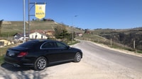 De Turín, caza de trufas de medio día y almuerzo en Piamonte - Housity