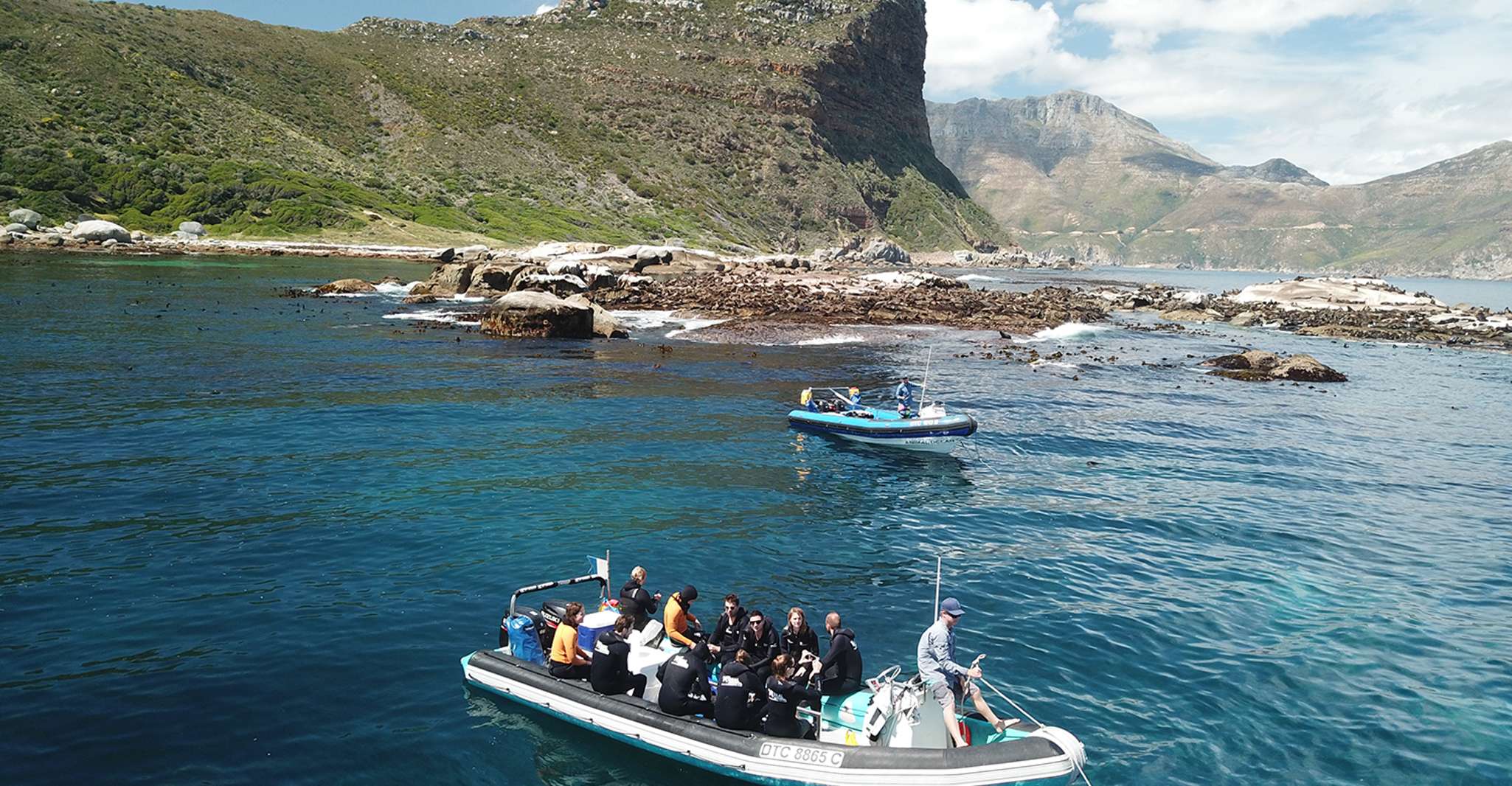 Ciudad del Cabo, crucero con snorkel de sello guiado en Hout Bay - Hizvo