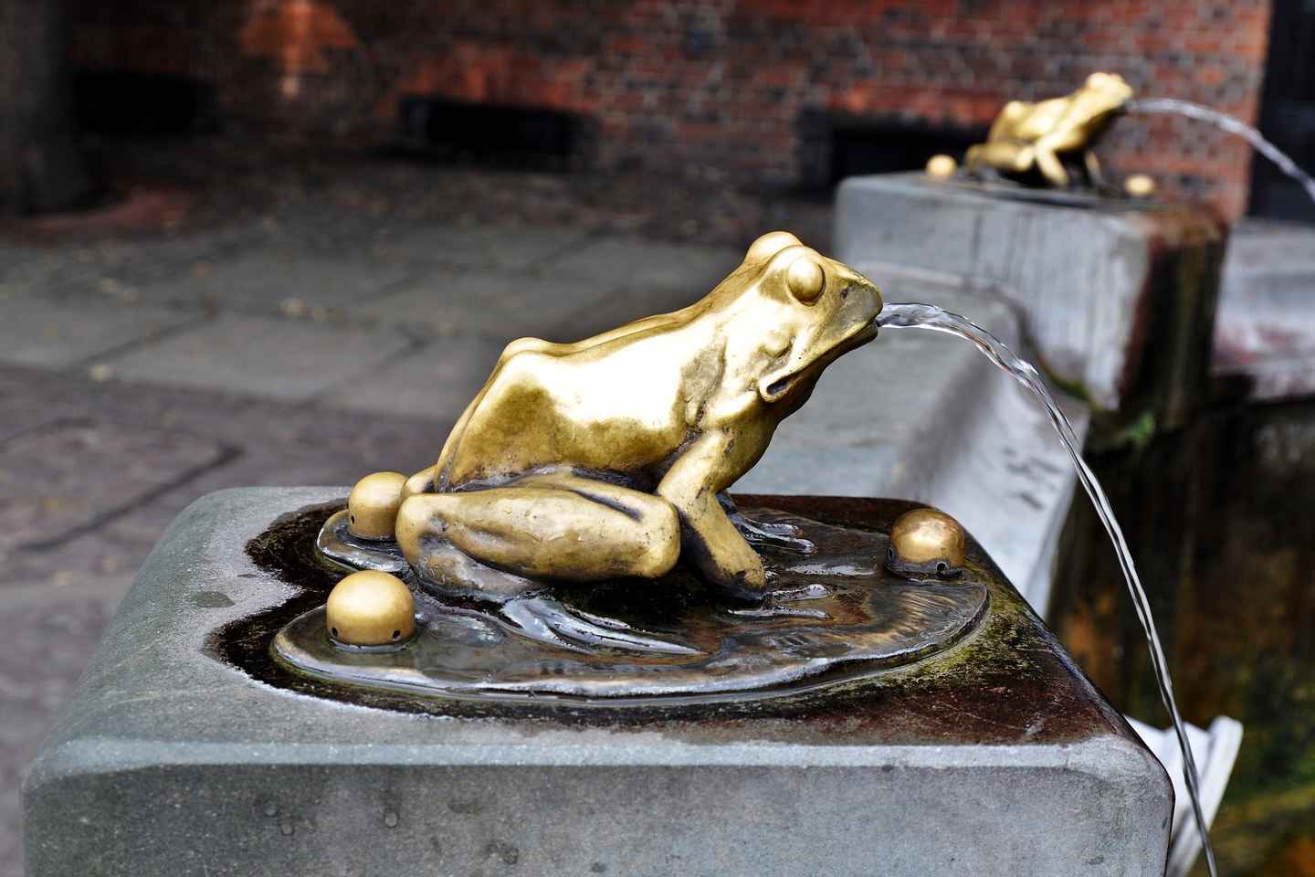 Torun Old Town Highlights Private Walking Tour