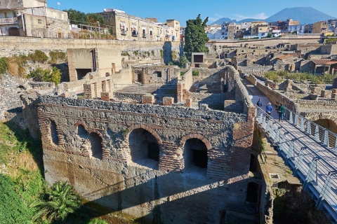 Van Sorrento: tour van een halve dag door Herculaneum