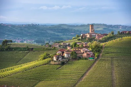 Turin: Privater Tagesausflug in die Weinregion Barolo mit Mittagessen