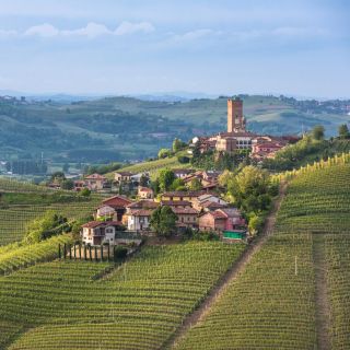 Turín: excursión privada de un día a la región vinícola de Barolo con almuerzo