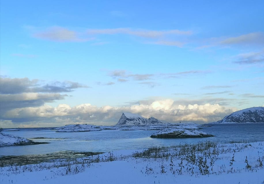 From Tromsø Small Group Arctic Fjord Tour Getyourguide