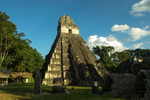Ab San Ignacio: Tagestour zur Maya-Stätte Tikal mit Mittag