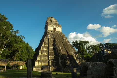 Culture & history