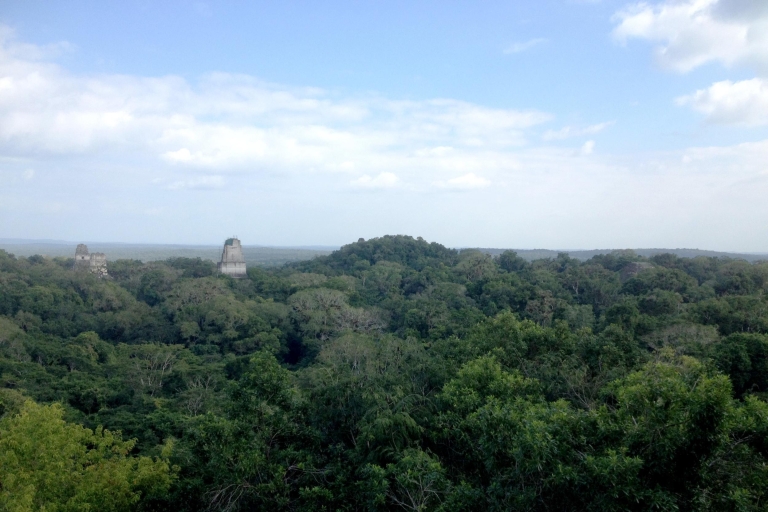 Van San Ignacio: Tikal Maya-dagtocht met lokale lunch