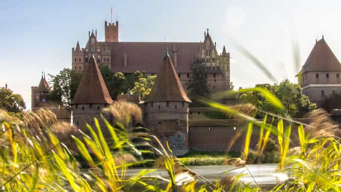gdansk malbork castle guided halfday tour