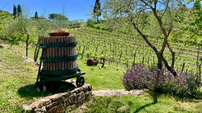 from florence chianti hills wineries tour with tasting