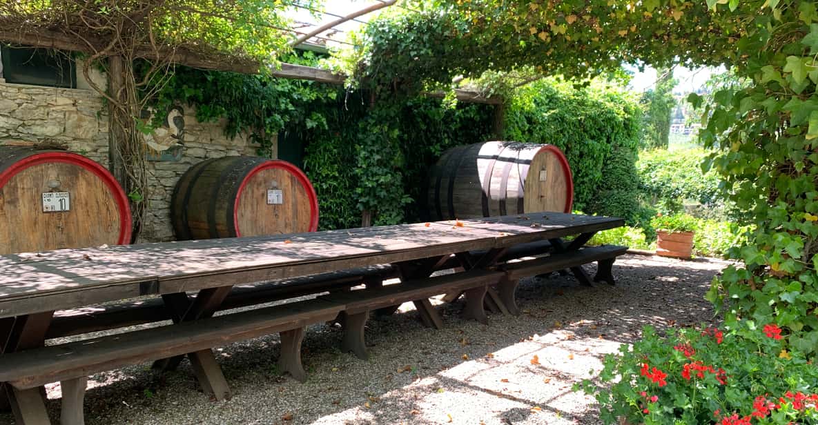 From Florence: Chianti Hills Wineries Tour with Tasting
