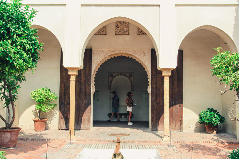 Malaga: visite guidée de l'Alcazaba et du théâtre romain avec entrée