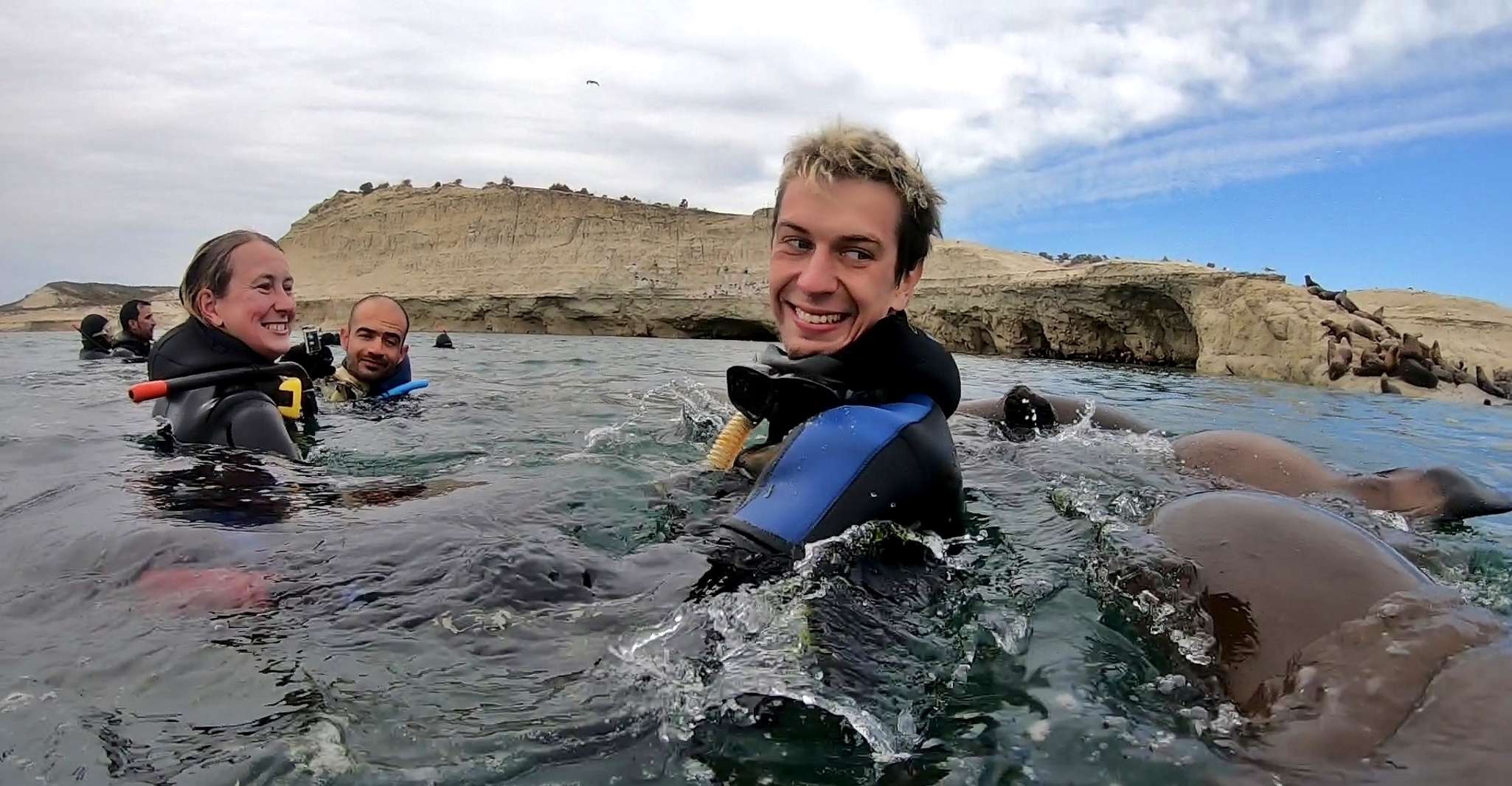 Puerto Madryn, viaje de snorkeling de 3 horas con leones marinos - Hizvo