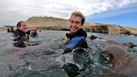 Puerto Madryn, voyage de plongée de 3 heures avec les lions de mer - Hizvo