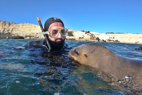 Puerto Madryn: Schnorcheltour mit Seelöwen