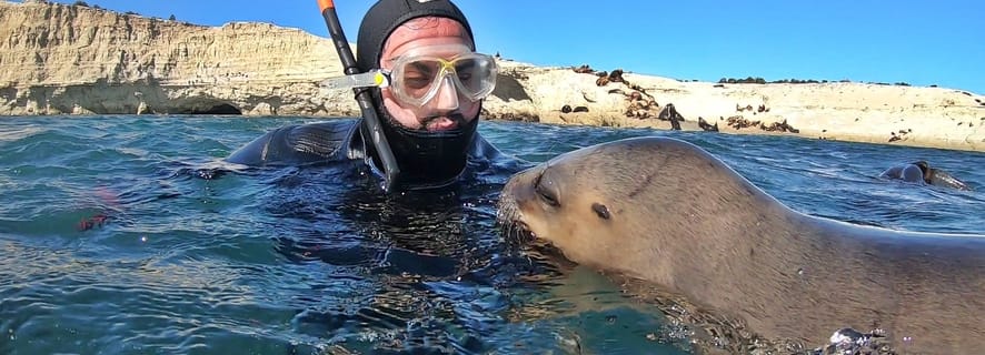 Puerto Madryn: 3-Hour Snorkeling Trip with Sea Lions