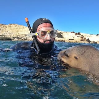 Puerto Madryn: 3-Hour Snorkeling Trip with Sea Lions