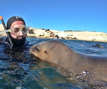 Puerto Madryn: Snorkeling Trip with Sea Lions