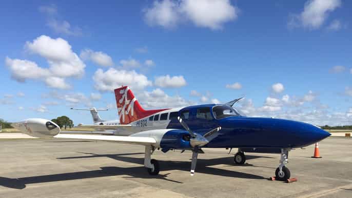 from punta cana samana whale watching day tour by airplane