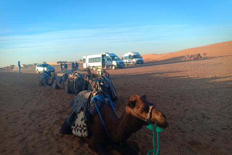 Desde Marrakech: tour de 3 días por el desierto a Merzouga