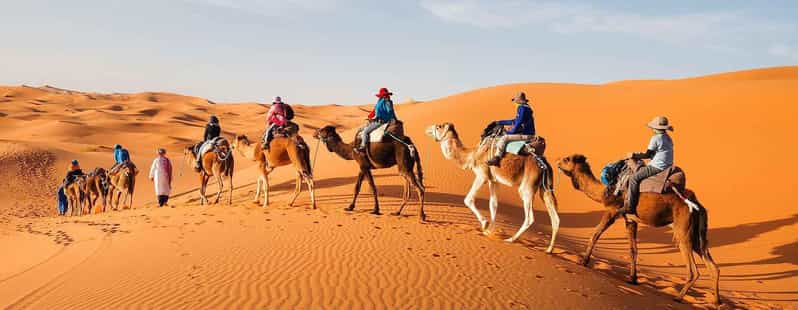 Au départ de Fès : Circuit de 4 jours dans le désert jusqu'à Marrakech - dromadaire