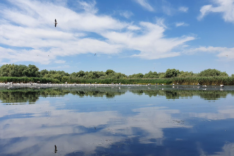 From Bucharest: 2-Day Private Trip to Danube Delta & Cruise