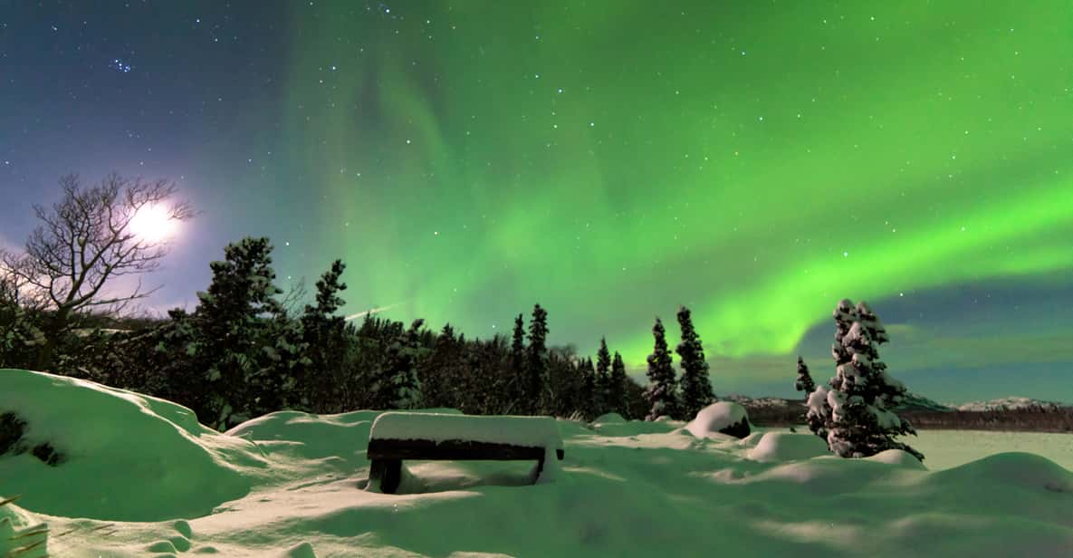 Rovaniemi: Aurora Borealis Snowmobile Safari & Campfire BBQ