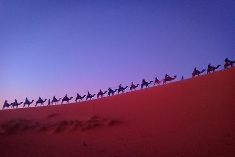 Z Marrakeszu: 3-dniowa wycieczka przez pustynię do Merzougi