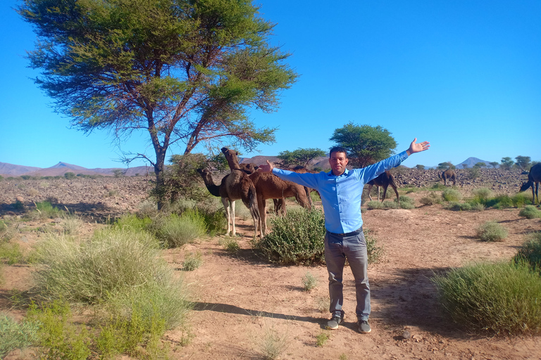 Desde Marrakech: tour de 3 días por el desierto a Merzouga