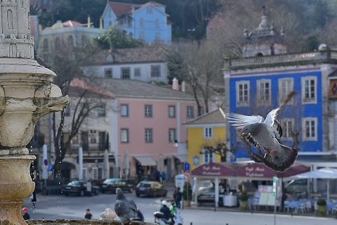 Sintra Cascais: tour semiprivado de lo mejor de SintraDesde Lisboa: tour de día completo a Sintra con guía local