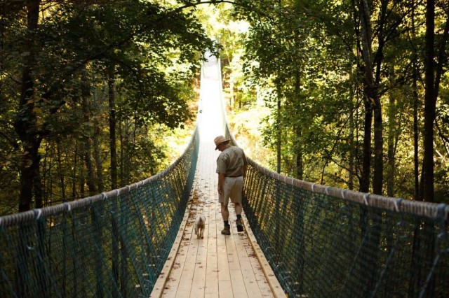 Visit Foxfire Mountain Hiking & Swinging Bridge Family Adventure in Pigeon Forge, Tennessee