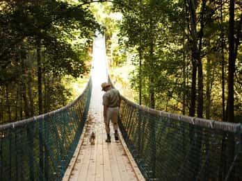 Foxfire Mountain: Wandern & Swinging Bridge Familienabenteuer Foxfire Mountain: Wandern & Swinging Bridge Familienabenteuer