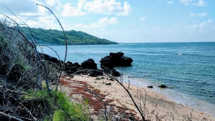 bridgetown atlantic coast train line hike and bike tour