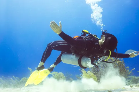 Cozumel : Plongée sous-marine avec une seule bouteille et accès complet au parc Chankanaab