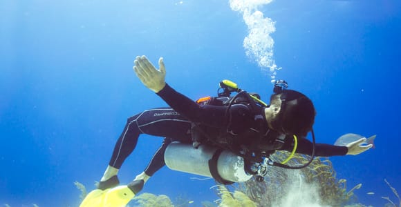 Cozumel: One-Tank Scuba Dive and Full Chankanaab Park Access