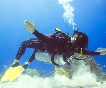 Cozumel: One Tank Scuba Dive and Full Chankanaab Park Access