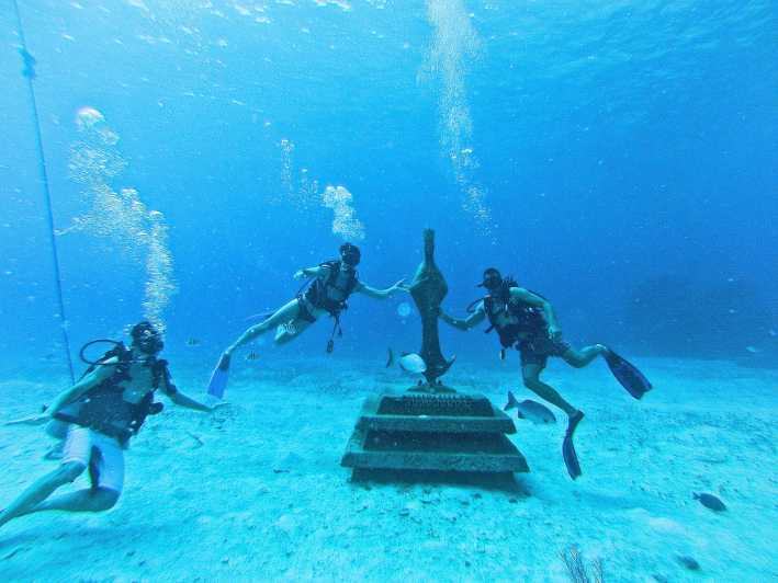 Cozumel: One Tank Scuba Dive and Full Chankanaab Park Access | GetYourGuide
