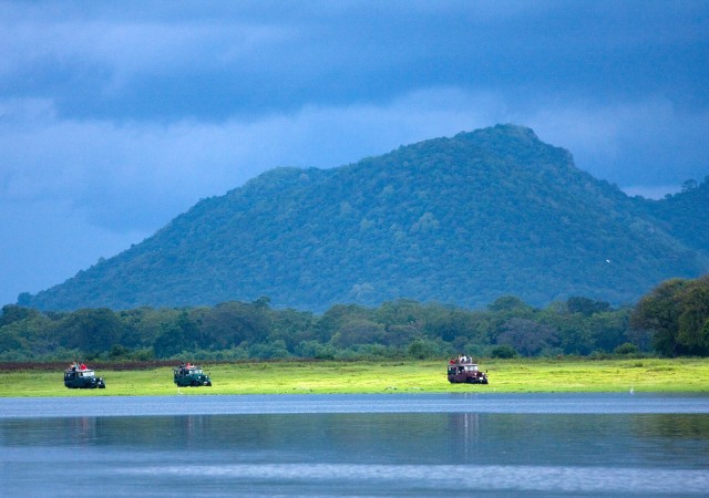 Visit Udawalawe National Park Private Full-Day Safari in Kandy, Sri Lanka