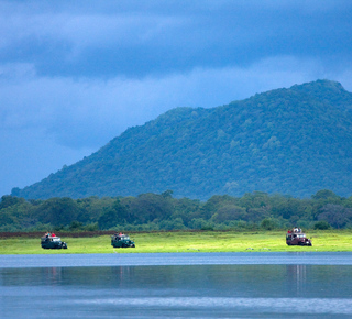 Parque nacional de Udawalawe: Excursiones de varios días desde Kandy