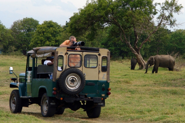Udawalawe National Park Private Full-Day Safari Standard Option