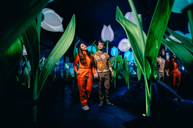 Amsterdam: Highlights of Holland Immersive Experience Ticket