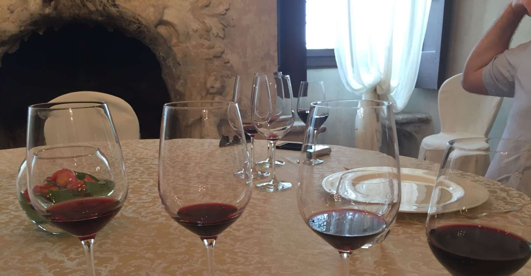 Verona, tour del vino Amarone con pranzo gourmet nella villa romana - Housity